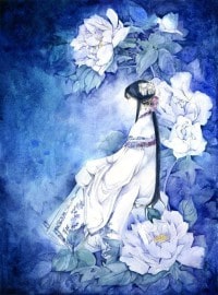 黑篮同人之樱花树下的人