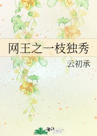 网王之一枝独秀