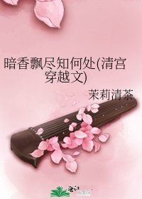 暗香飄盡知何處(清宮穿越文)