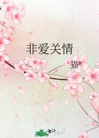 非爱关情